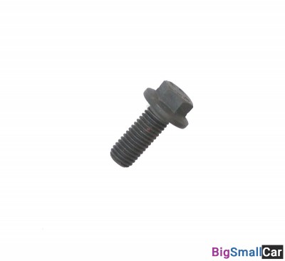 Болт многофункциональный (М12Х1.75Х25) 3901249