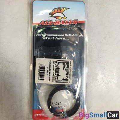 Сальники ALL BALLS 55-114 43x53x9.5 - купить Саратове