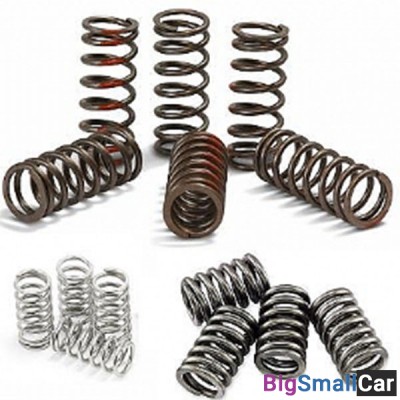 Пружины сцепления FERODO FSS0114 - купить Саратове