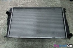 Радиатор основной (17 Система охлаждения) 17117790297